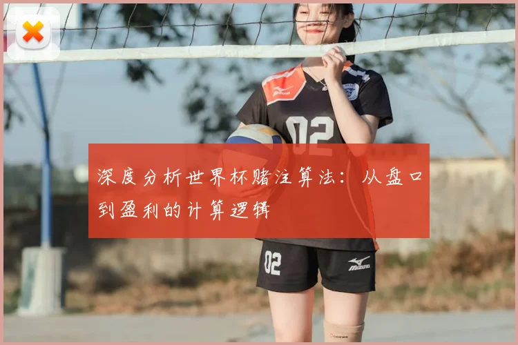 深度分析世界杯赌注算法:从盘口到盈利的计算逻辑