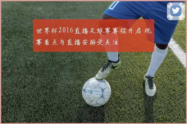 世界杯2016直播足球赛赛程开启 观赛看点与直播安排受关注