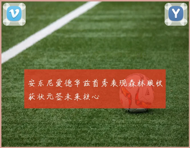 安东尼爱德华兹首秀表现森林狼收获状元签未来核心