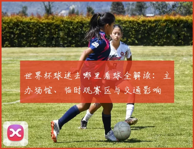 世界杯球迷去哪里看球全解读:主办场馆、临时观赛区与交通影响