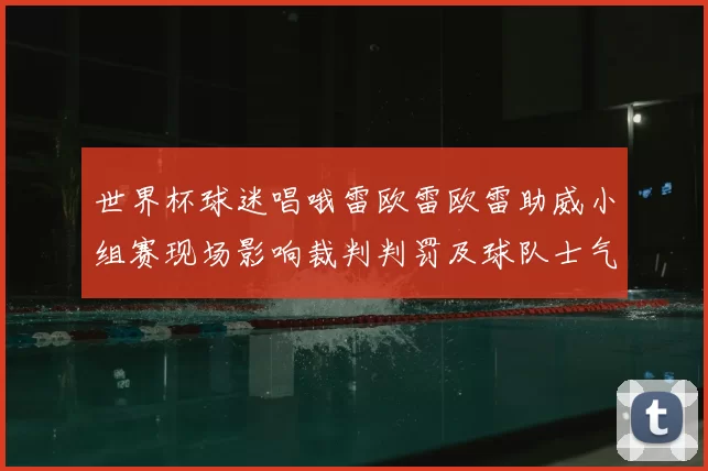 世界杯球迷唱哦雷欧雷欧雷助威小组赛现场影响裁判判罚及球队士气