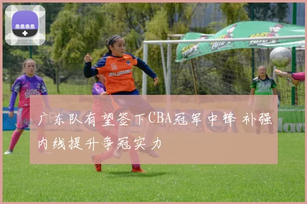 广东队有望签下CBA冠军中锋 补强内线提升争冠实力