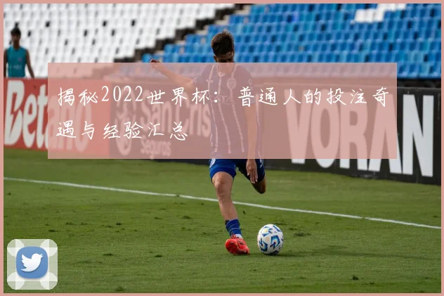 揭秘2022世界杯：普通人的投注奇遇与经验汇总